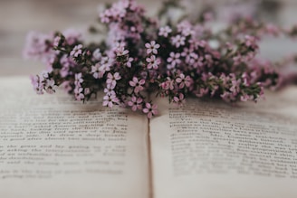 a close up of a piece of paper