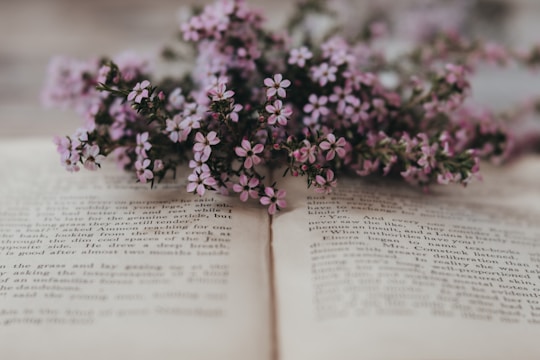 a close up of a piece of paper