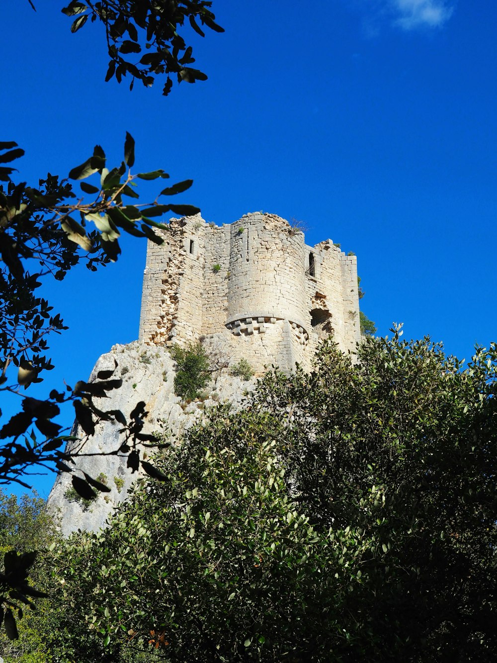 a castle on top of a hill surrounded by trees