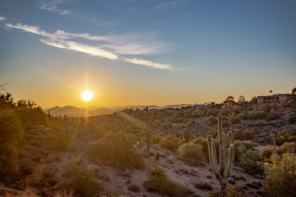 the sun is setting over a desert landscape