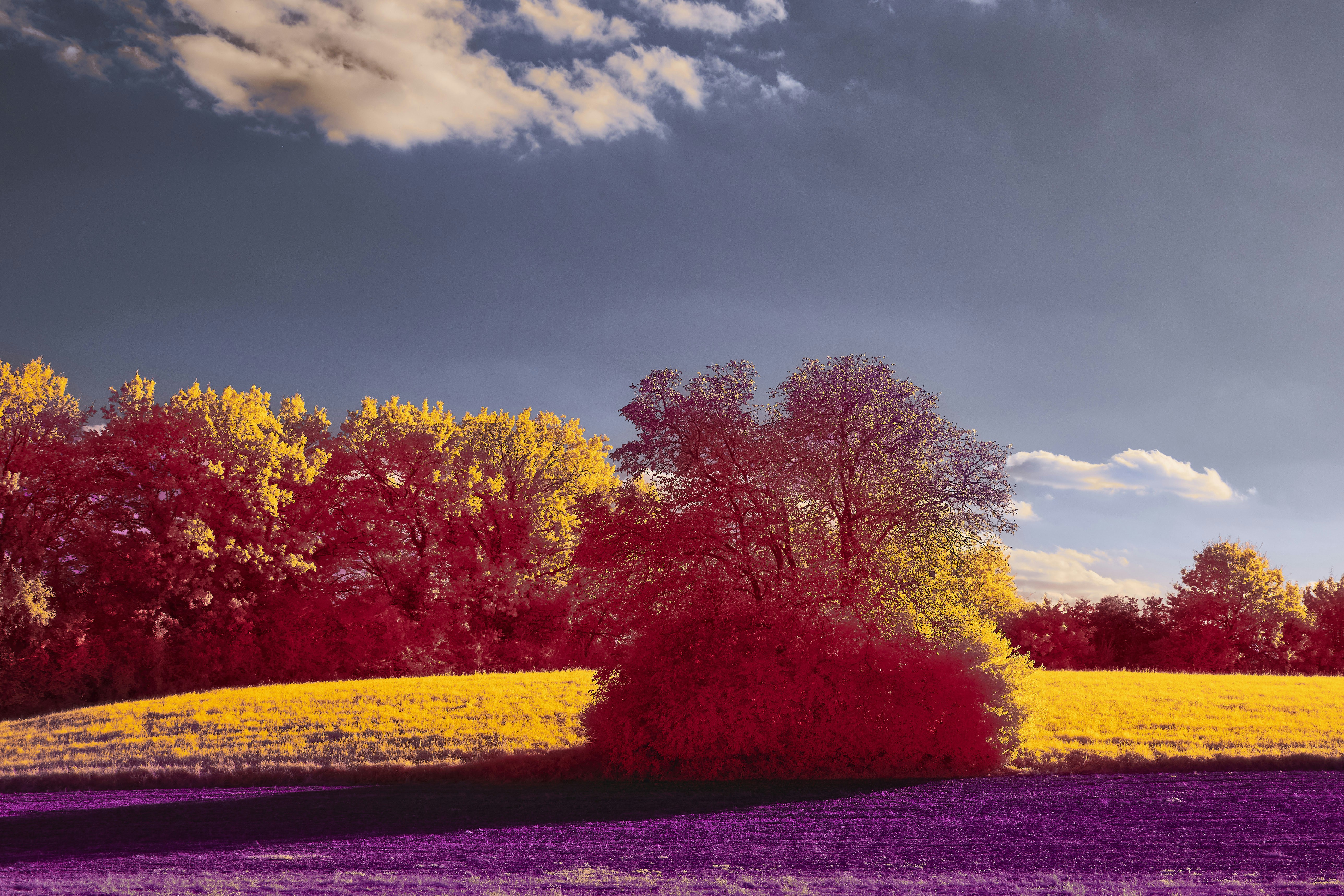 Photo by wolfgang_hasselmann