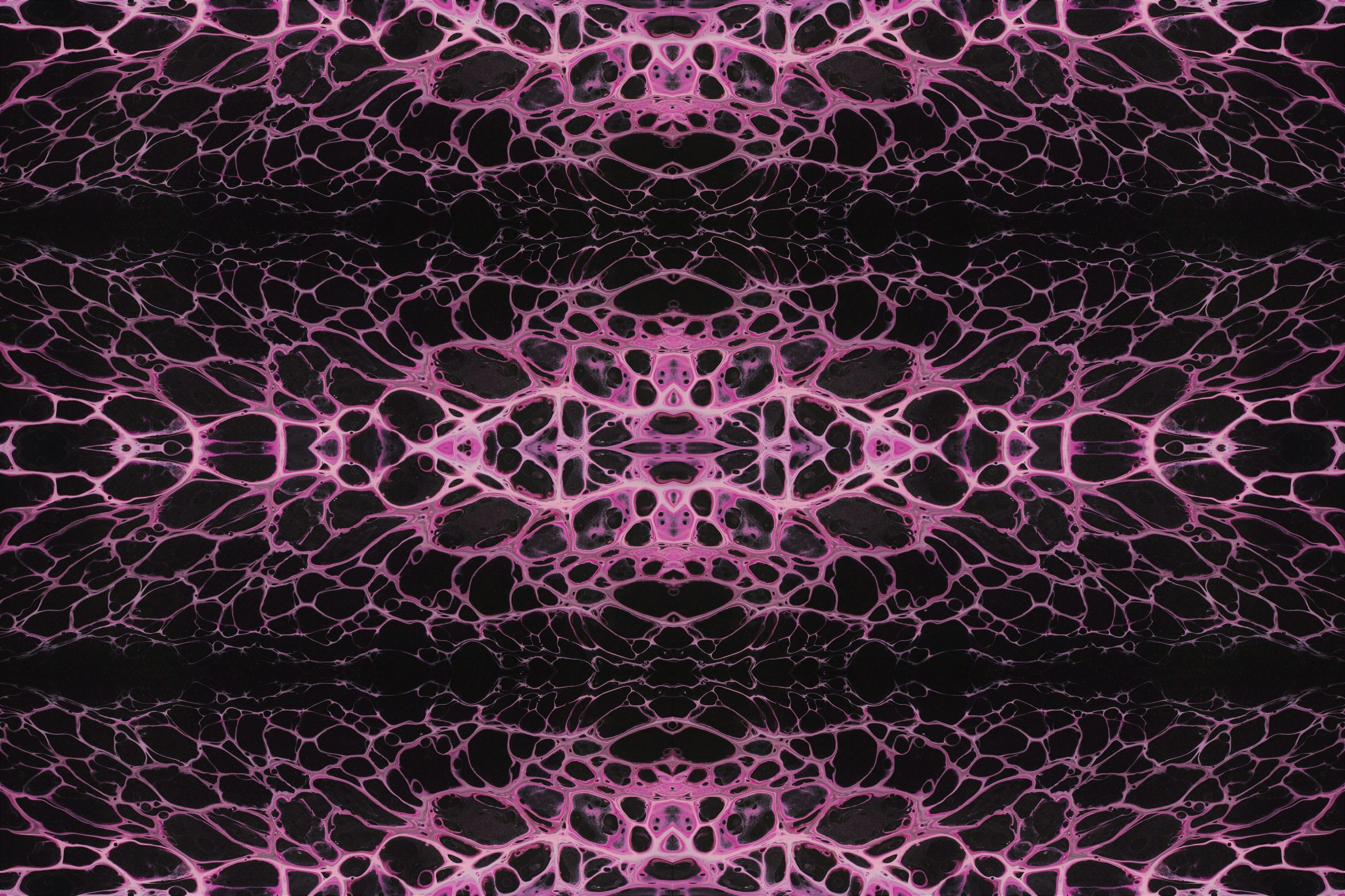 Photo by susan_wilkinson