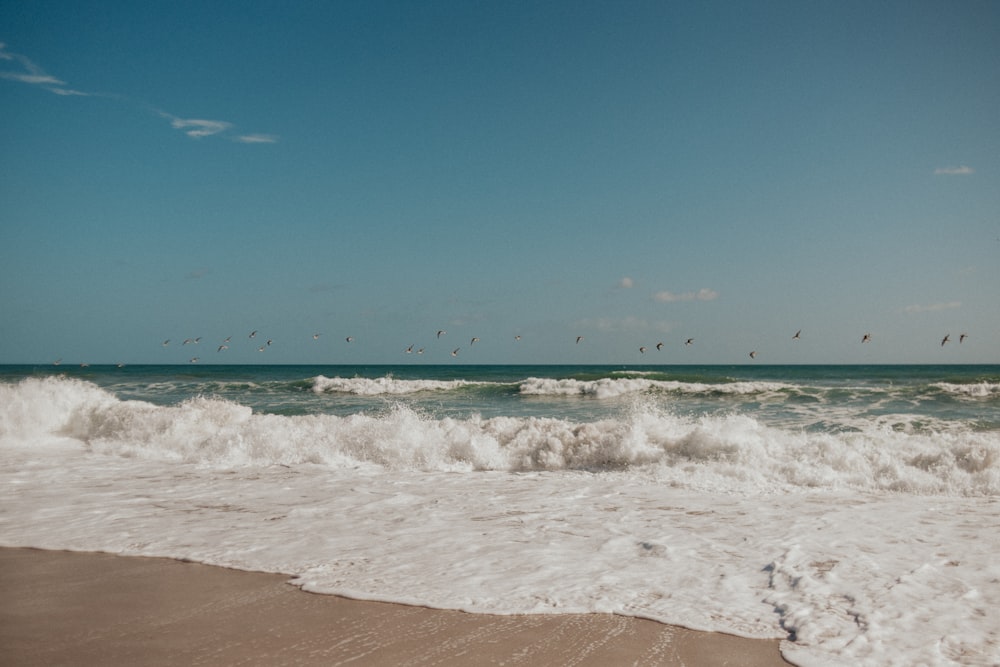 a sandy beach with waves and birds flying in the sky