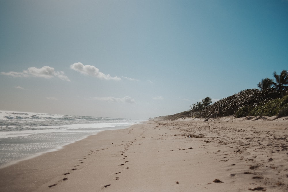 a sandy beach next to the ocean under a blue sky