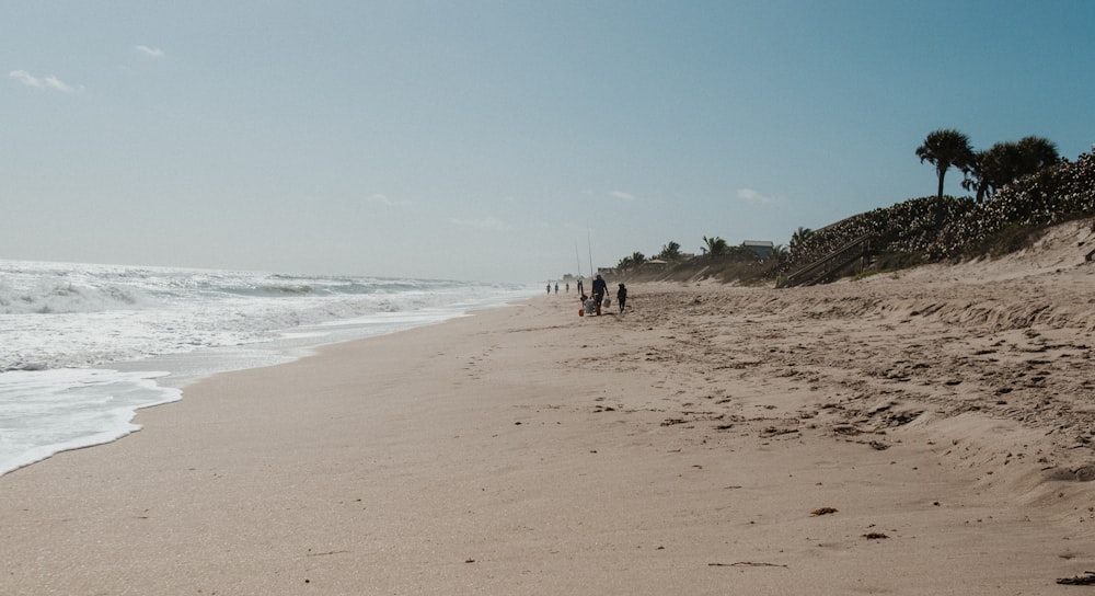 a group of people walking along a beach next to the ocean