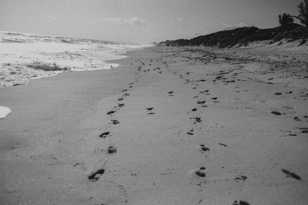 a black and white photo of a beach with footprints in the sand