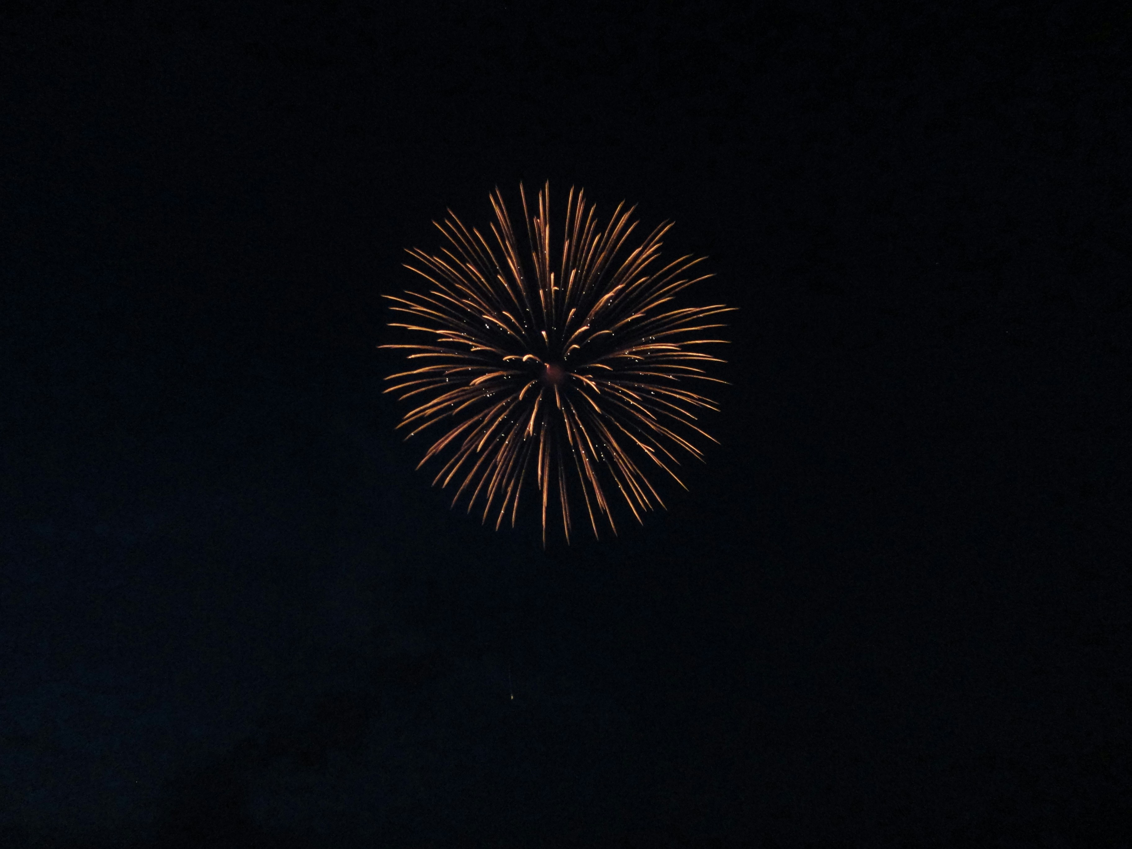 a fireworks is lit up in the dark sky