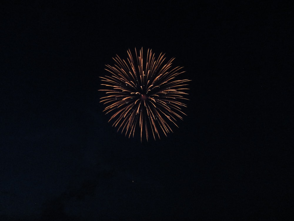 a fireworks is lit up in the dark sky