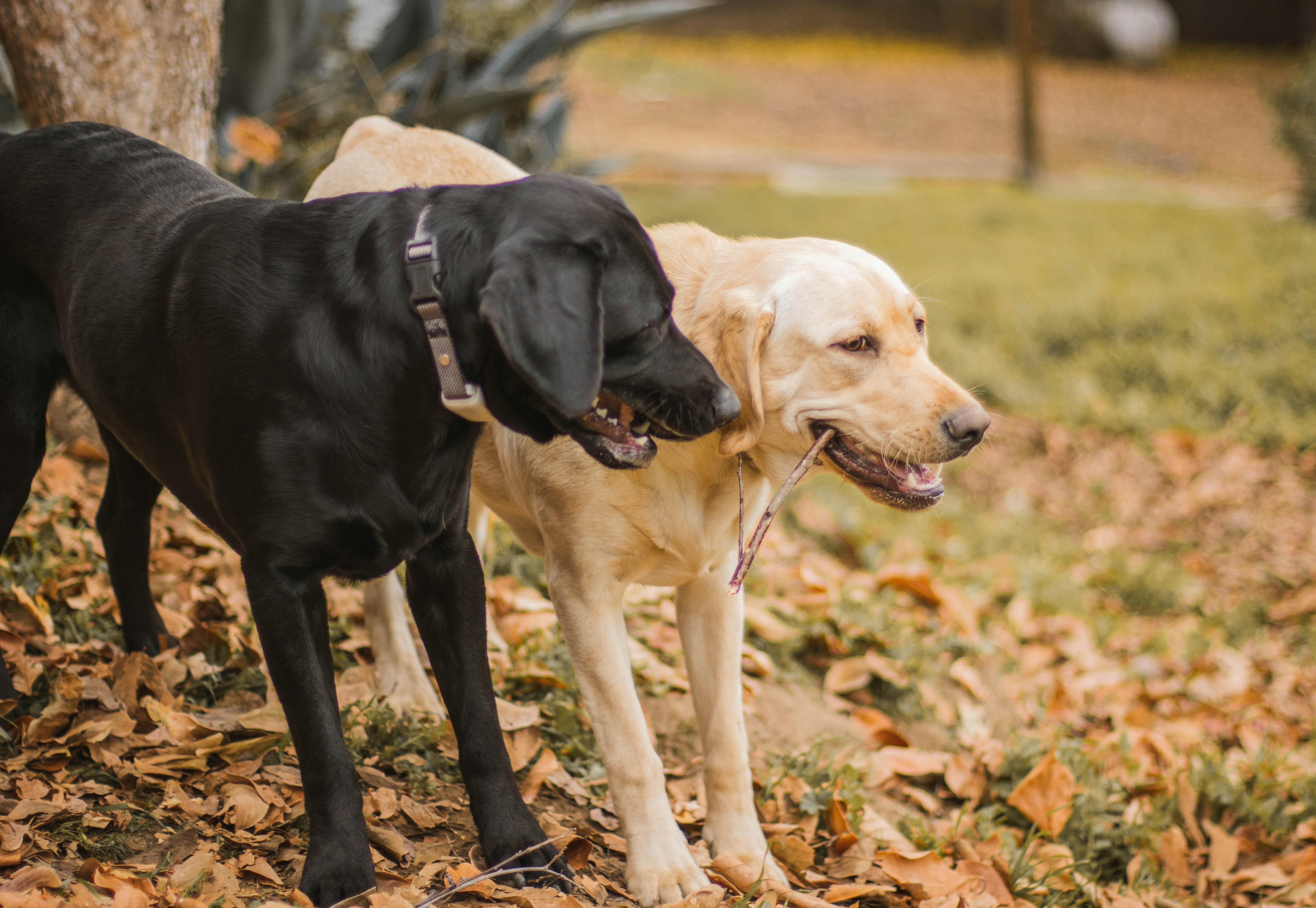 Photo by escape_your_mind