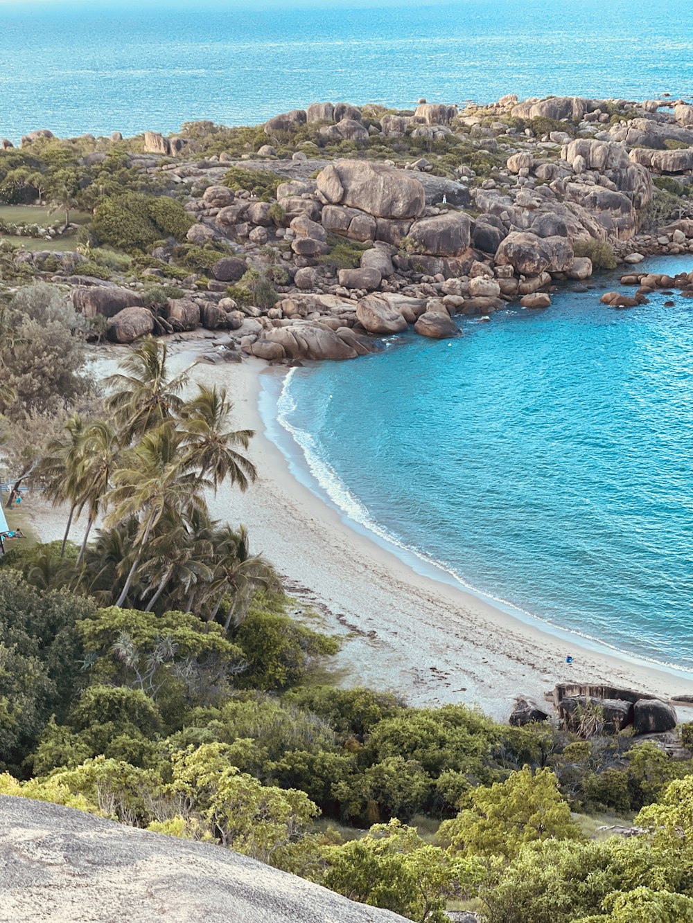 an aerial view of a sandy beach with palm trees