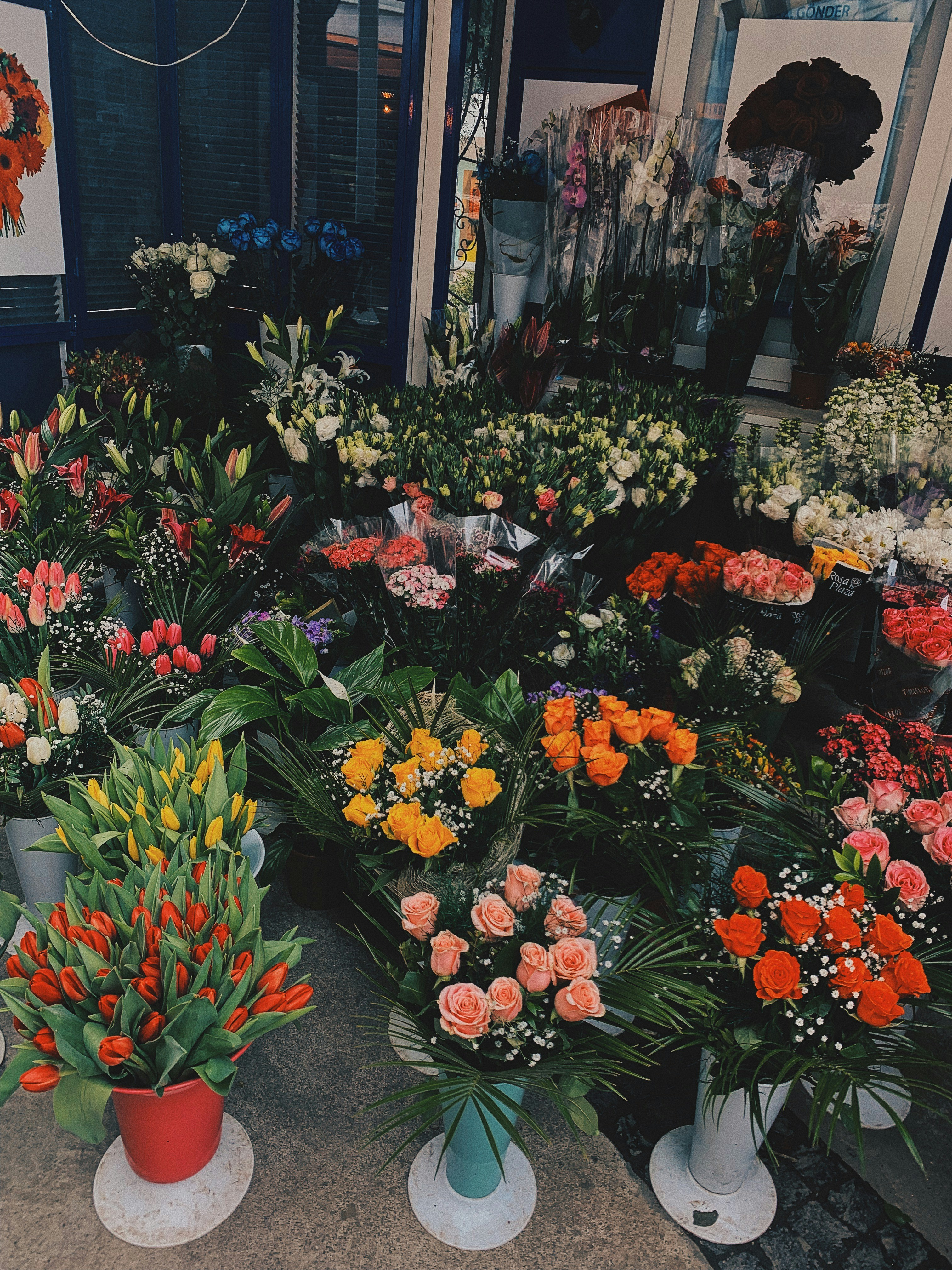 Elegant Floral Arrangements