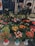 A colorful display of various flowers arranged in pots and bouquets. The assortment includes tulips, roses, lilies, and other florals. The flowers are arranged in different colors like red, yellow, pink, and orange. The shop display is vibrant and abundant, providing a lush and inviting atmosphere.