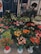 A colorful display of various flowers arranged in pots and bouquets. The assortment includes tulips, roses, lilies, and other florals. The flowers are arranged in different colors like red, yellow, pink, and orange. The shop display is vibrant and abundant, providing a lush and inviting atmosphere.