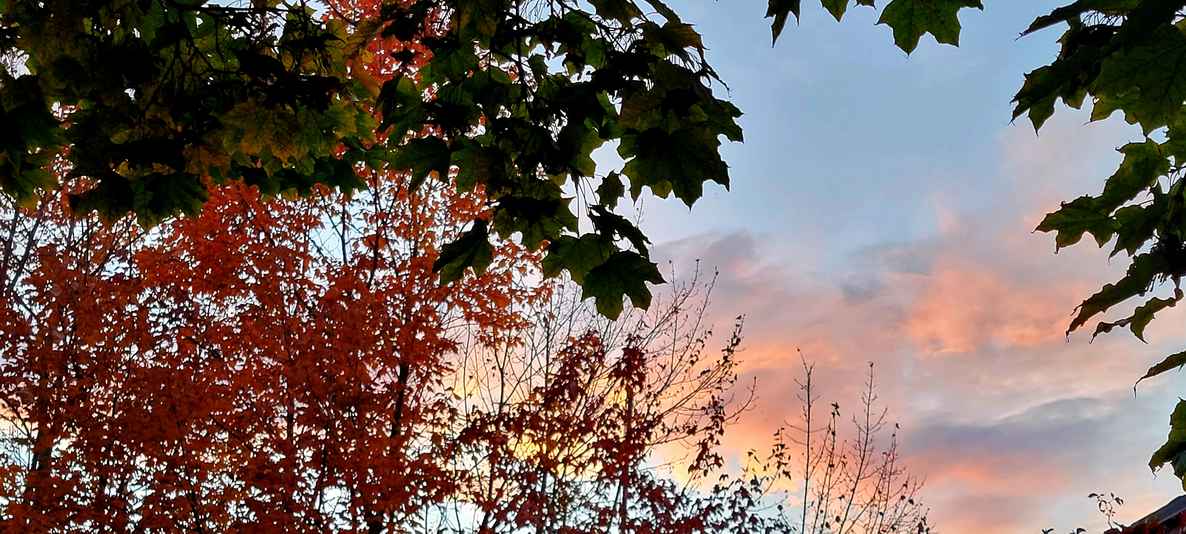 Le ciel est rose et orange au coucher du soleil