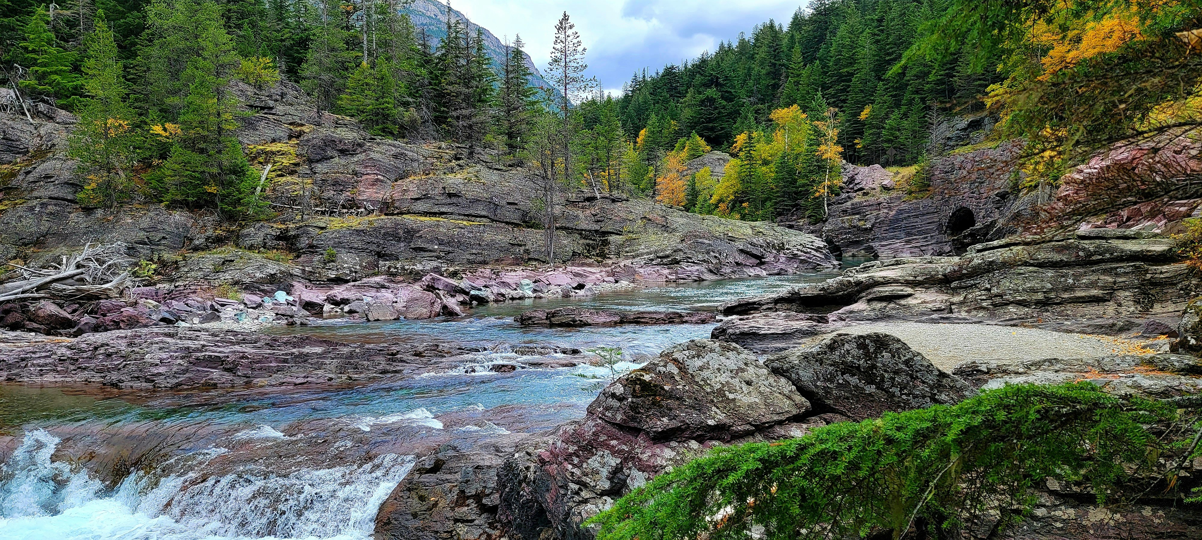 a river running through a lush green forest