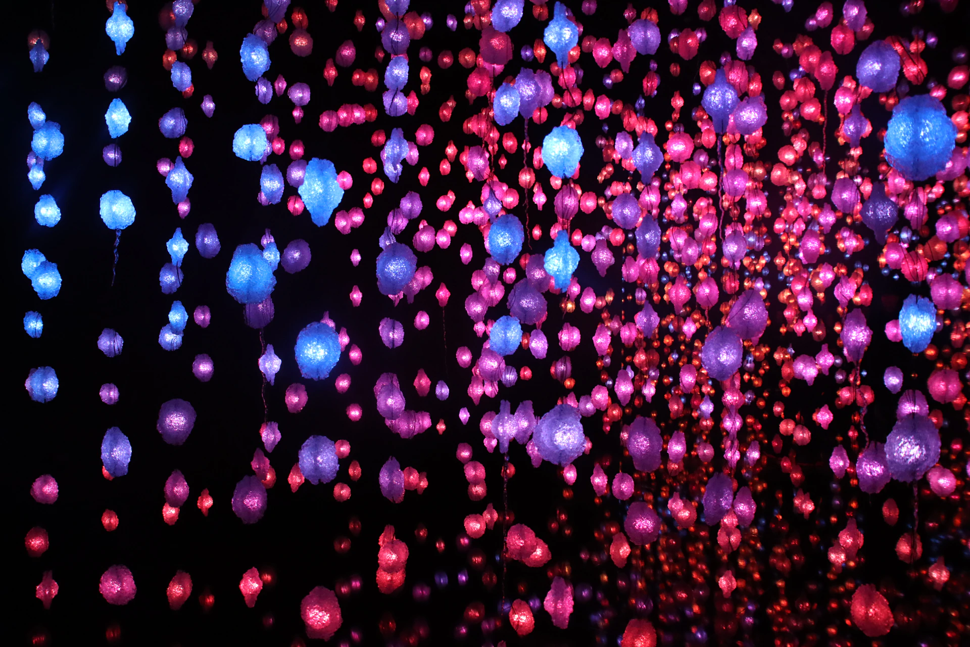 a bunch of balloons that are floating in the air