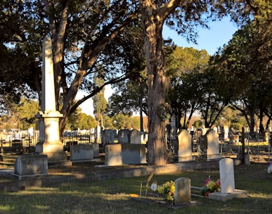 a cemetery with many headstones and trees