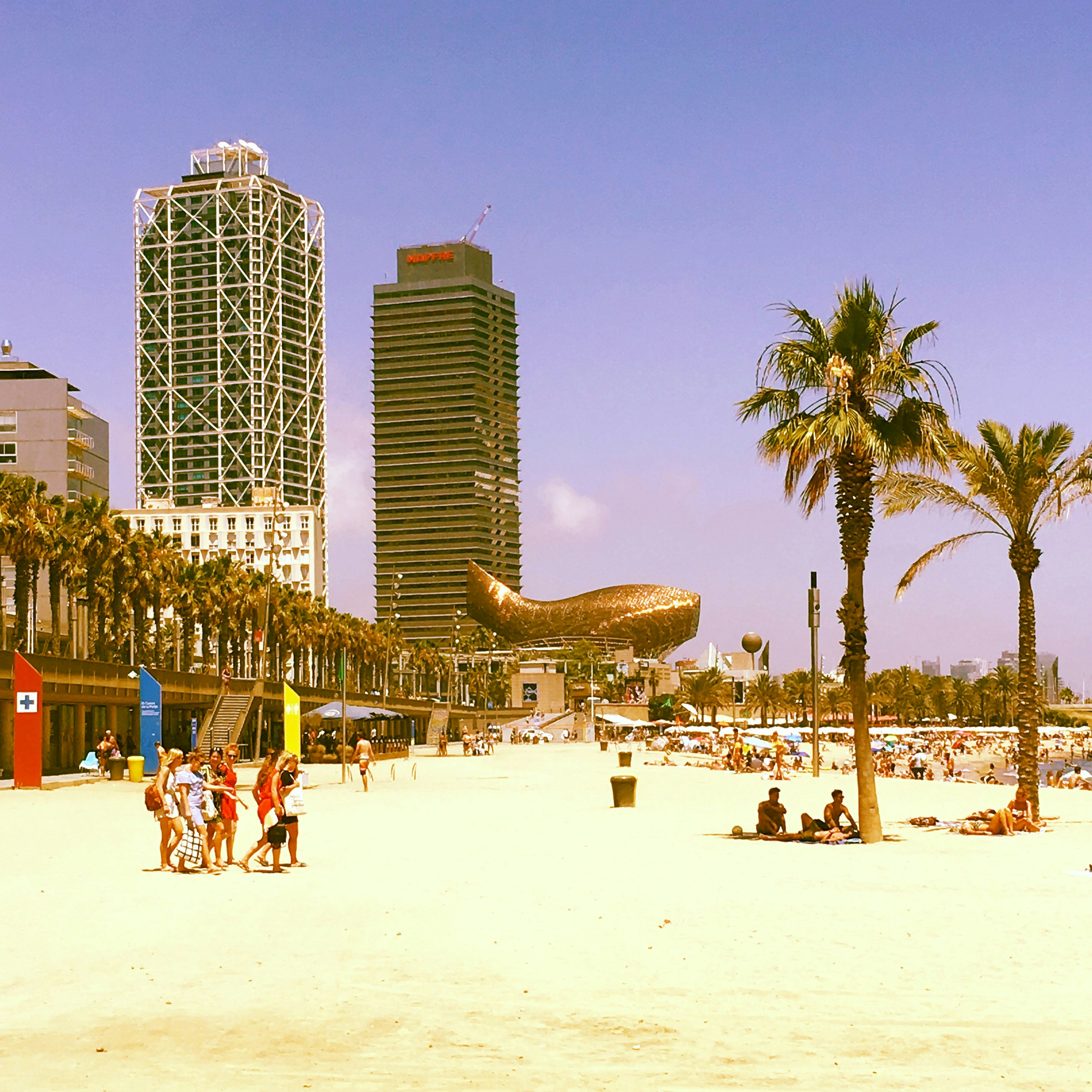 Où dormir au Costa Rica : meilleures zones (Arenal, Monteverde, côte Pacifique/Caraïbe) + erreurs à éviter