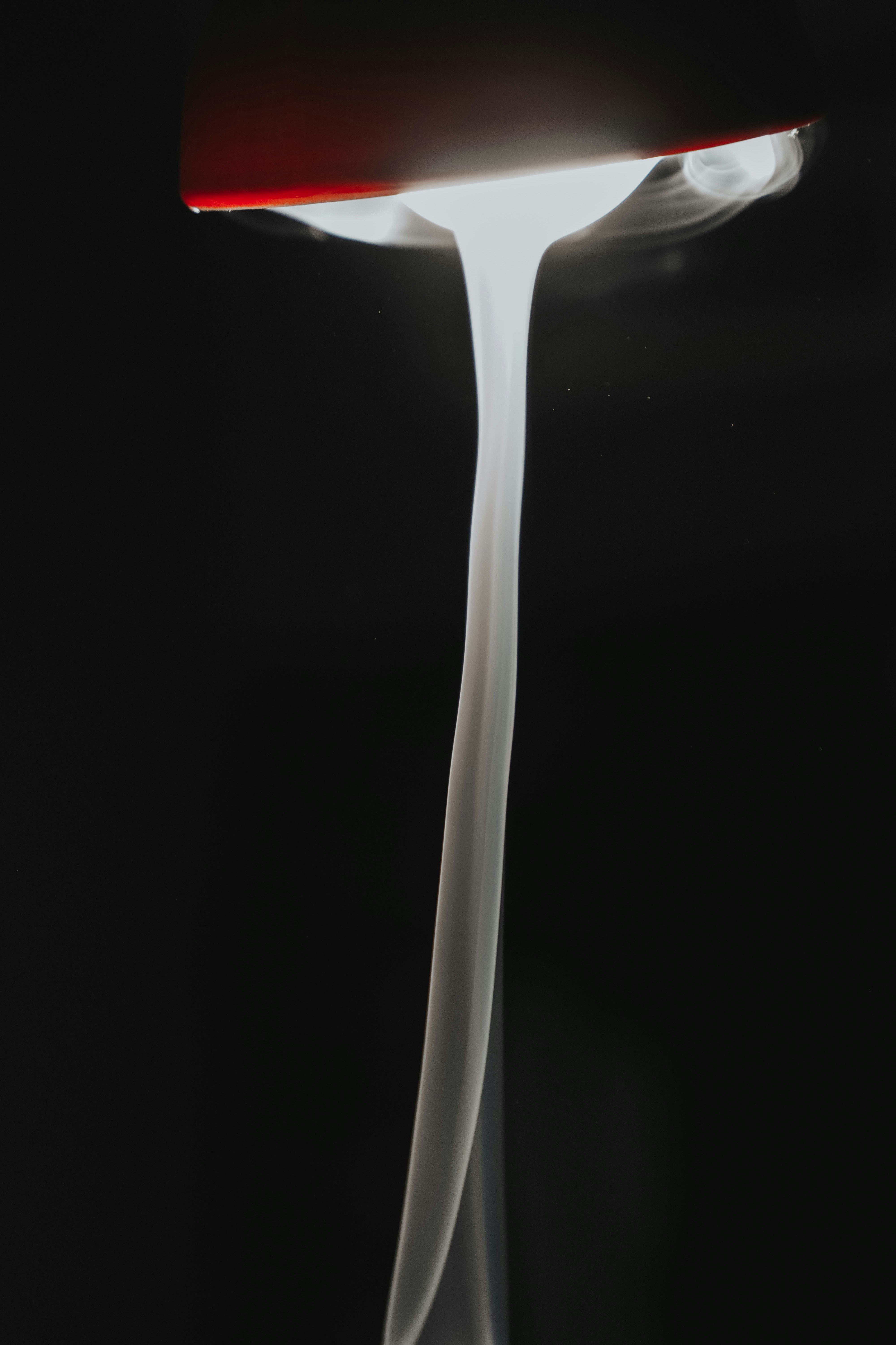 Photo by alikarimibn