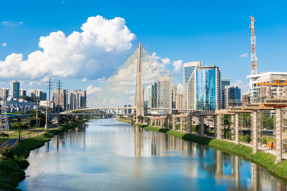 Un río que atraviesa una ciudad junto a edificios altos