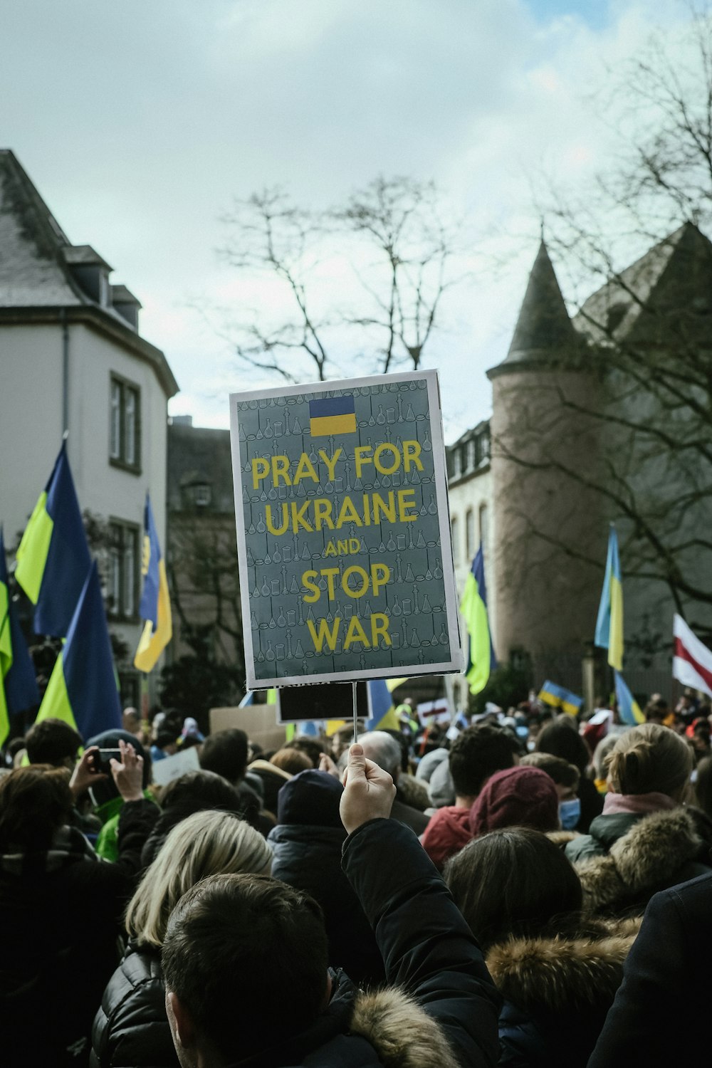 a crowd of people holding signs and flags