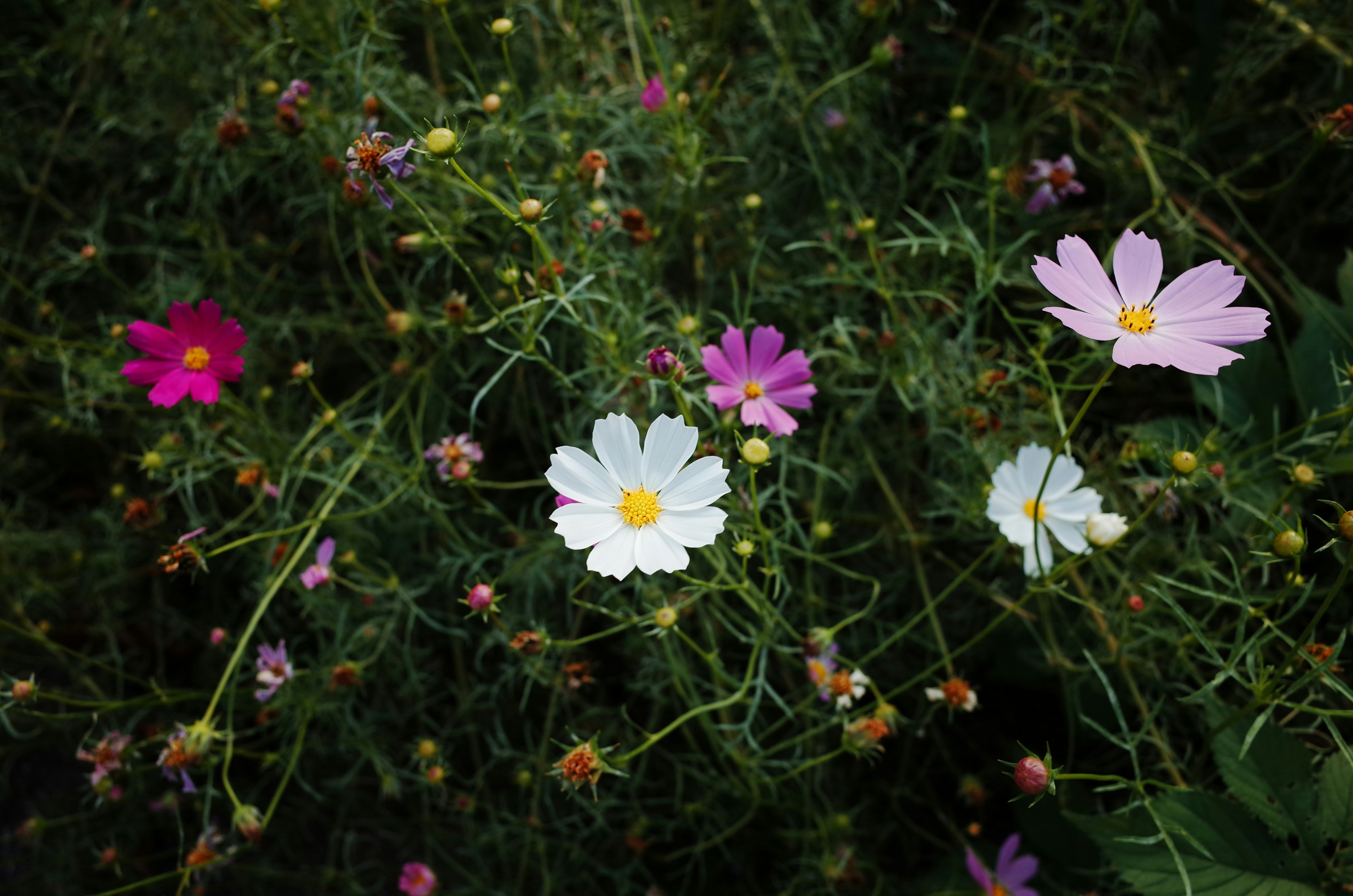 Photo by soflightsto