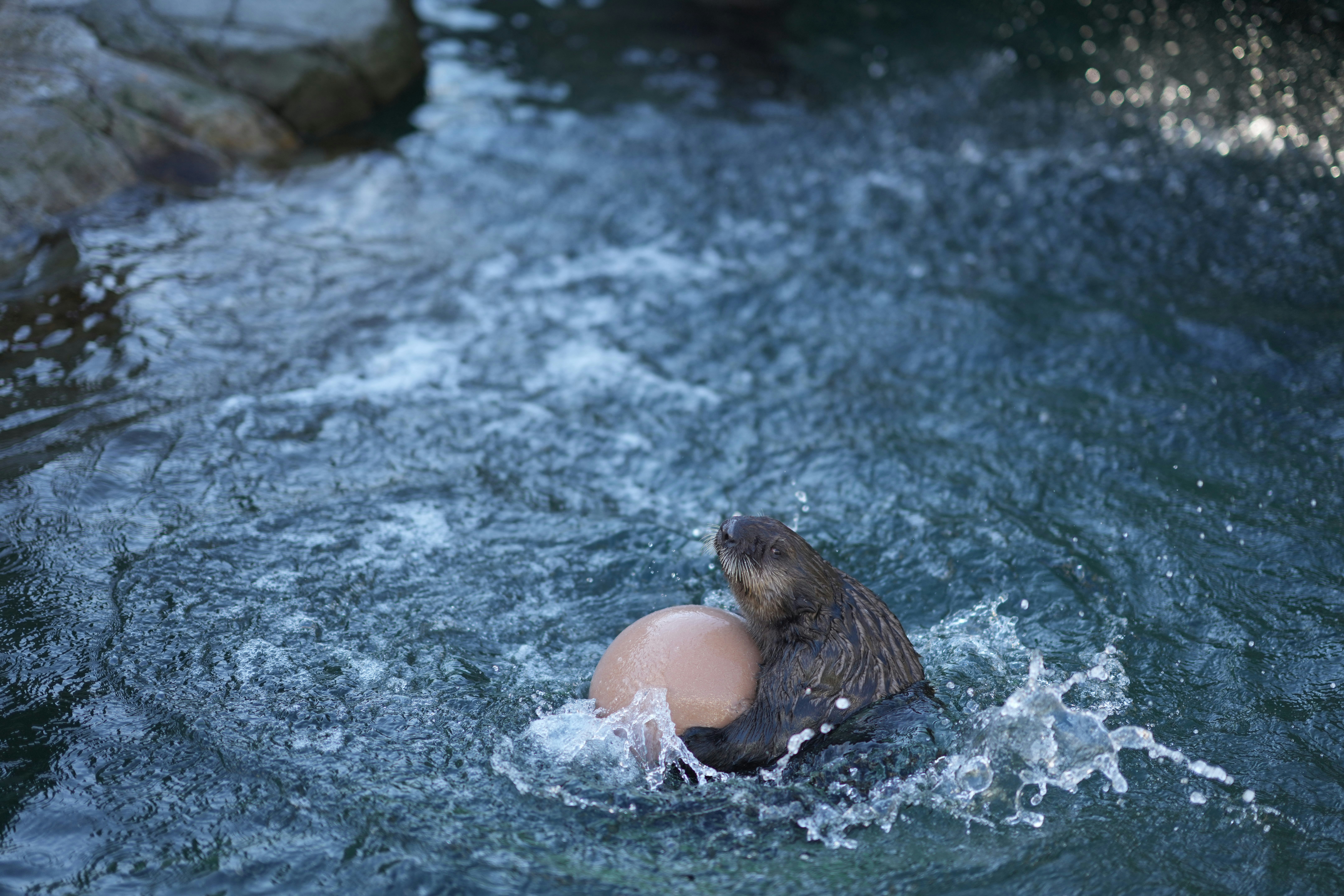 Photo by smallgiantdev