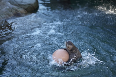 A playful otter floating through a swirling galaxy, surrounded by sparkling planets.