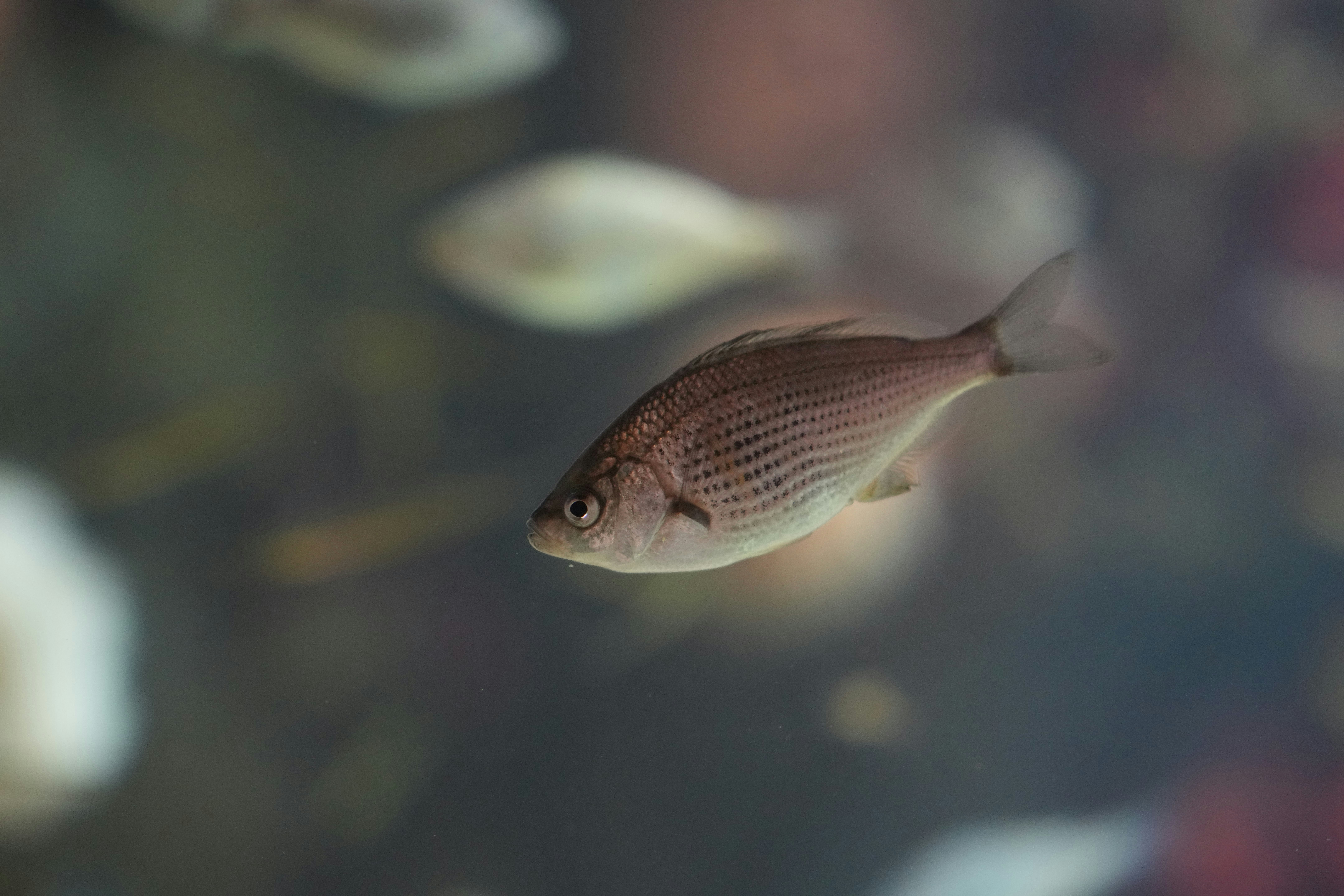 Photo by smallgiantdev