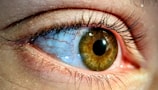 a close up of a person's brown eye