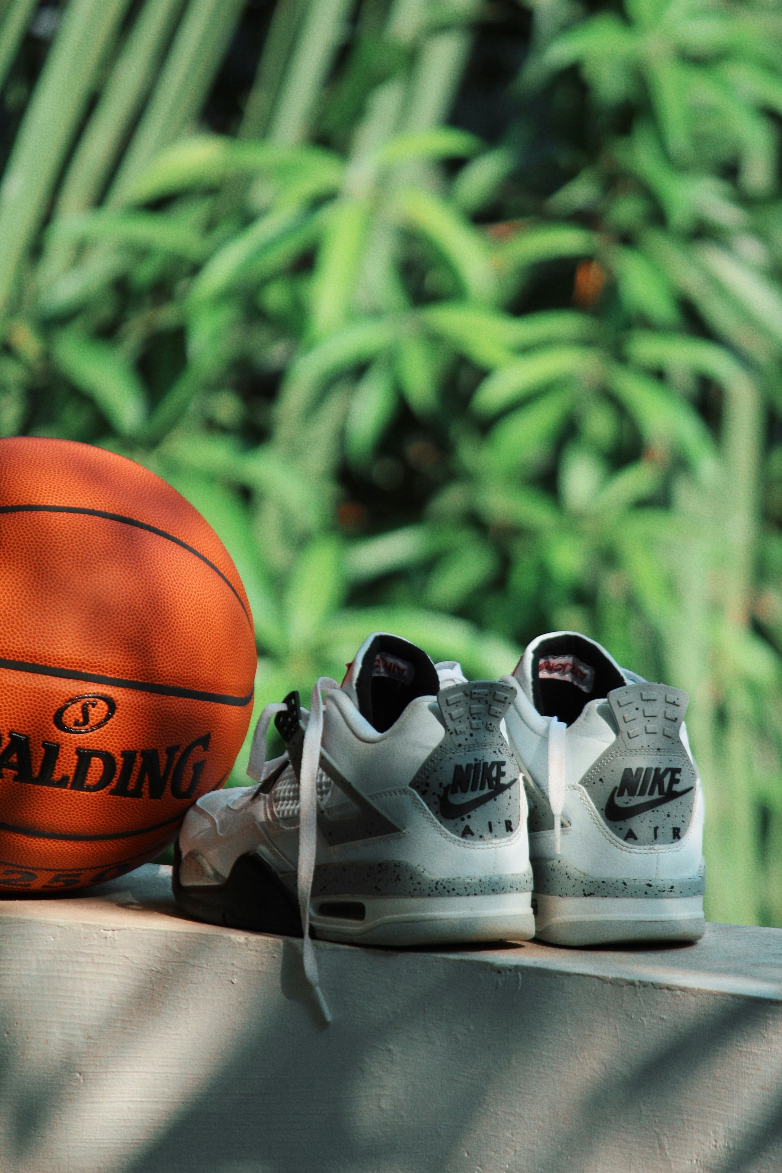 Product 6228fc8bb7e6cb904bbe014e Image