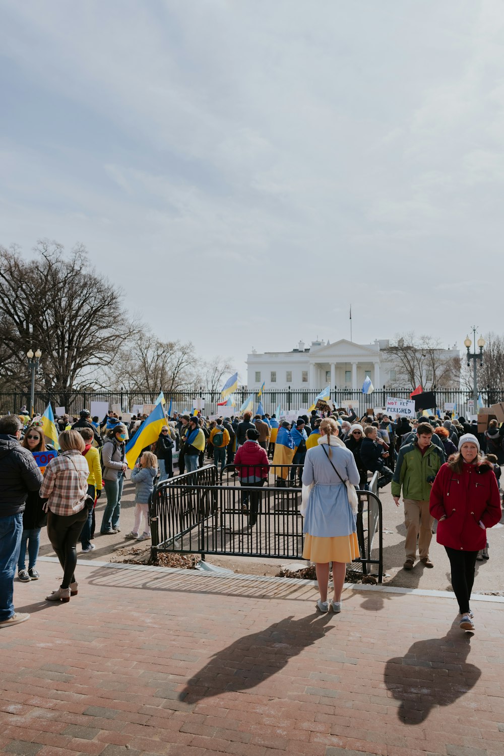 a crowd of people standing around a fence