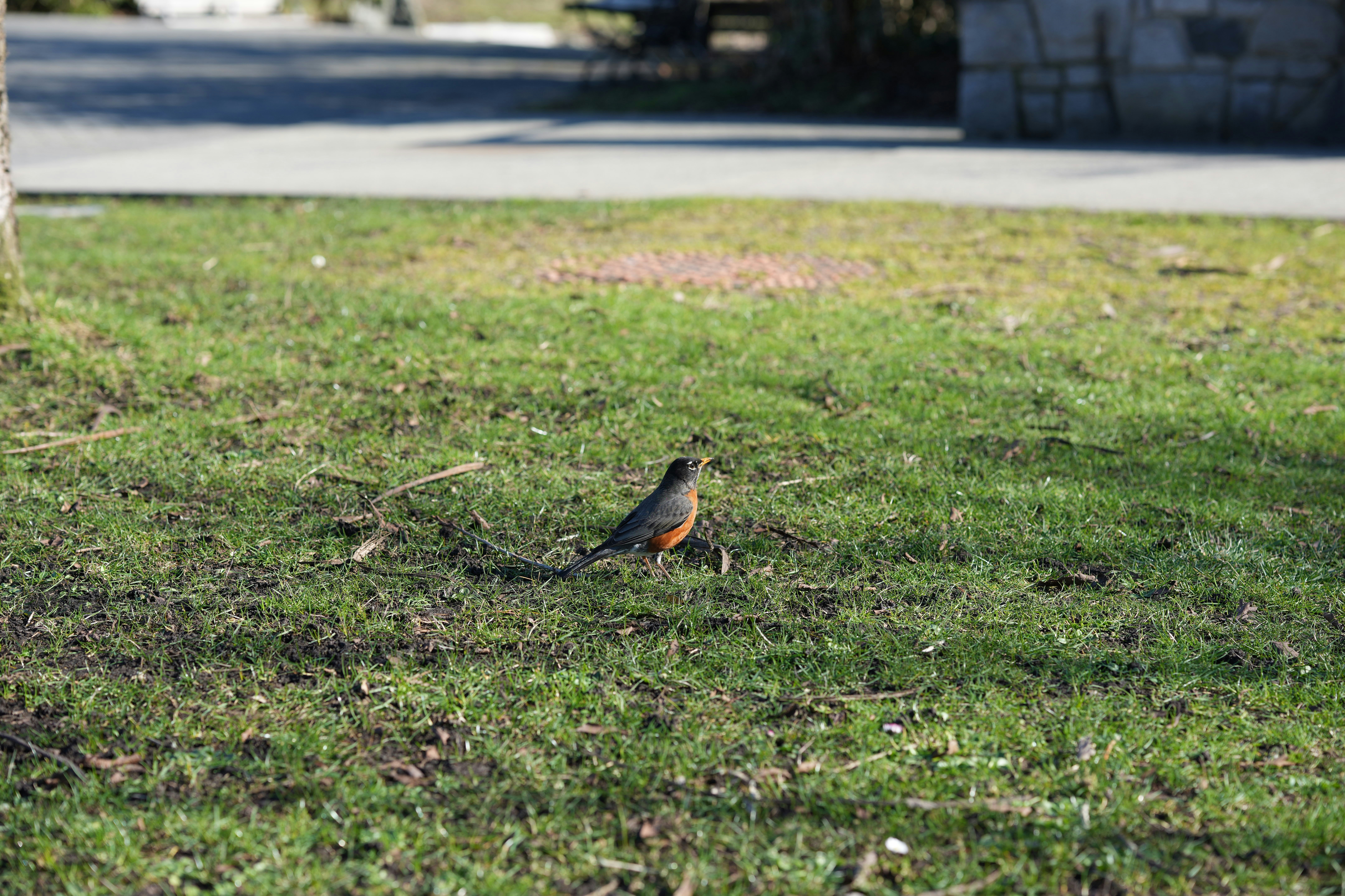 Photo by smallgiantdev