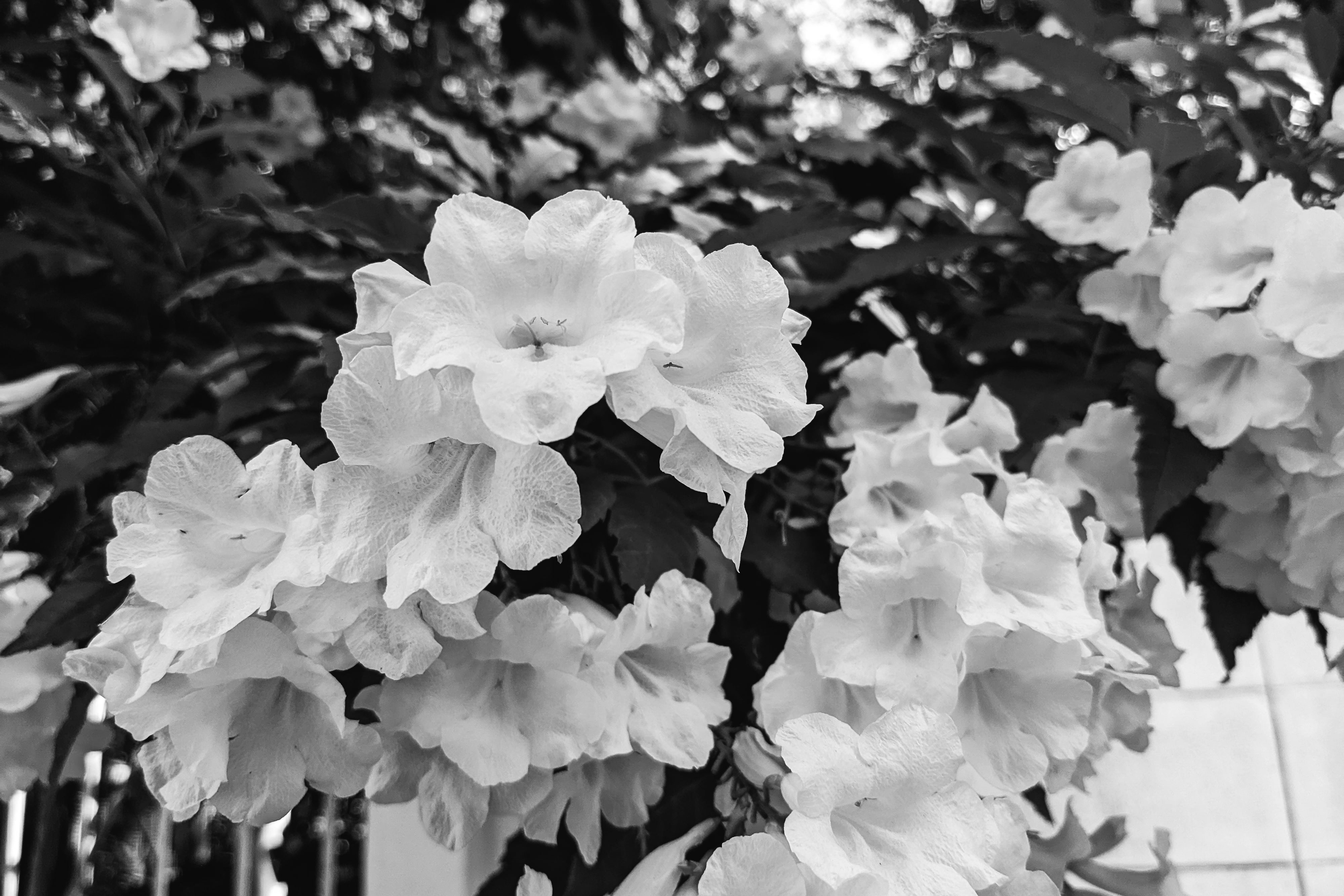 Photo by markuswinkler