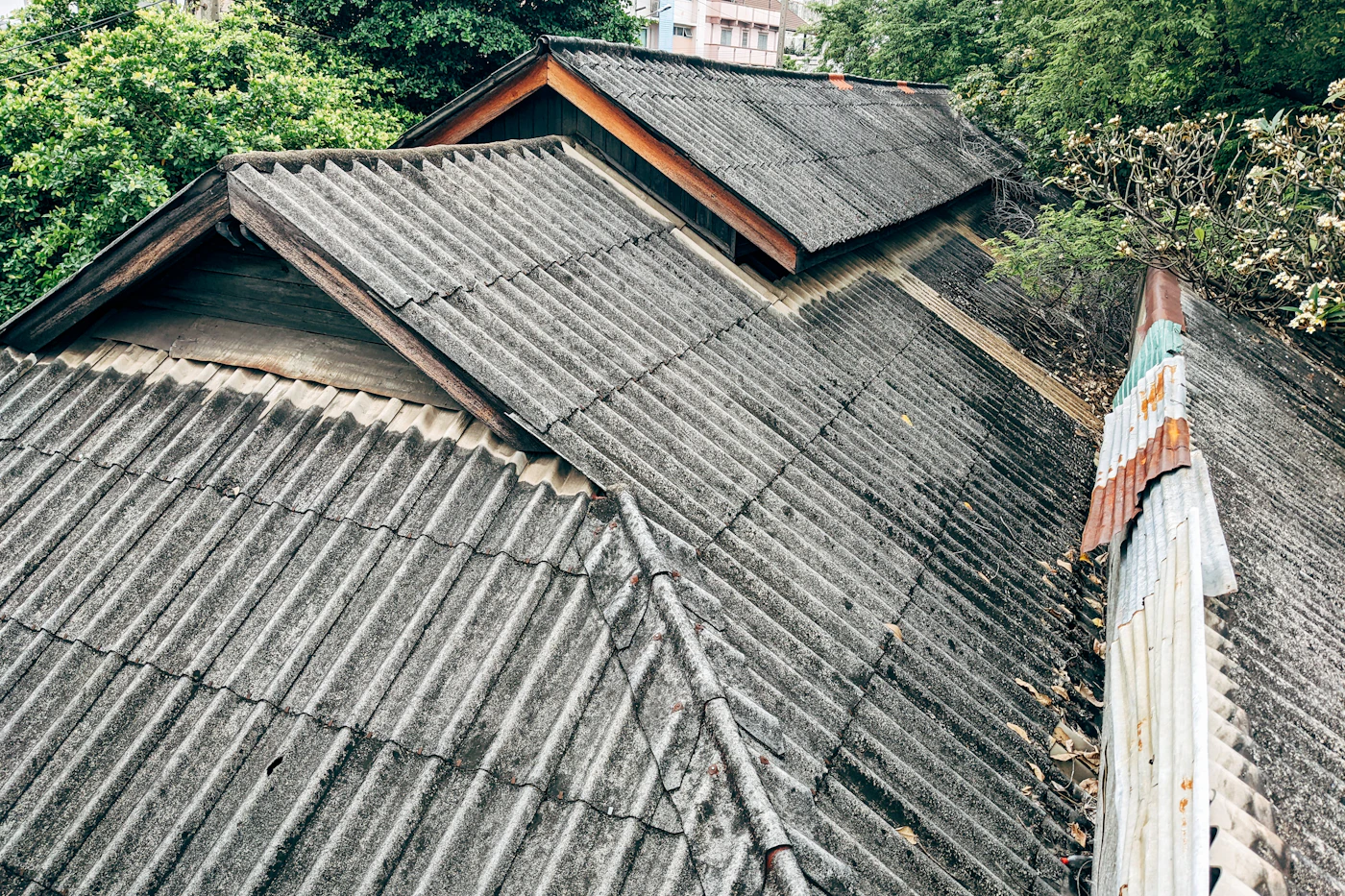 Clean roof after soft wash treatment removed algae stains