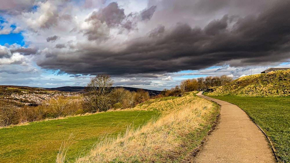 a path winds through a grassy field under a cloudy sky