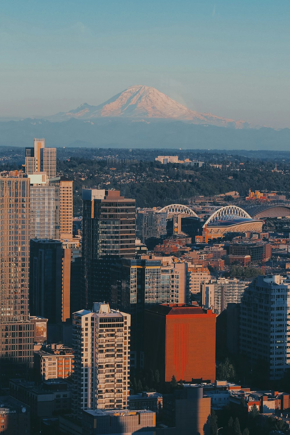 a view of a city with a mountain in the background