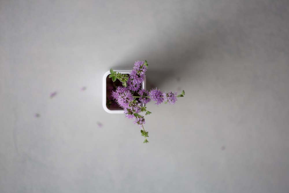a small white vase filled with purple flowers