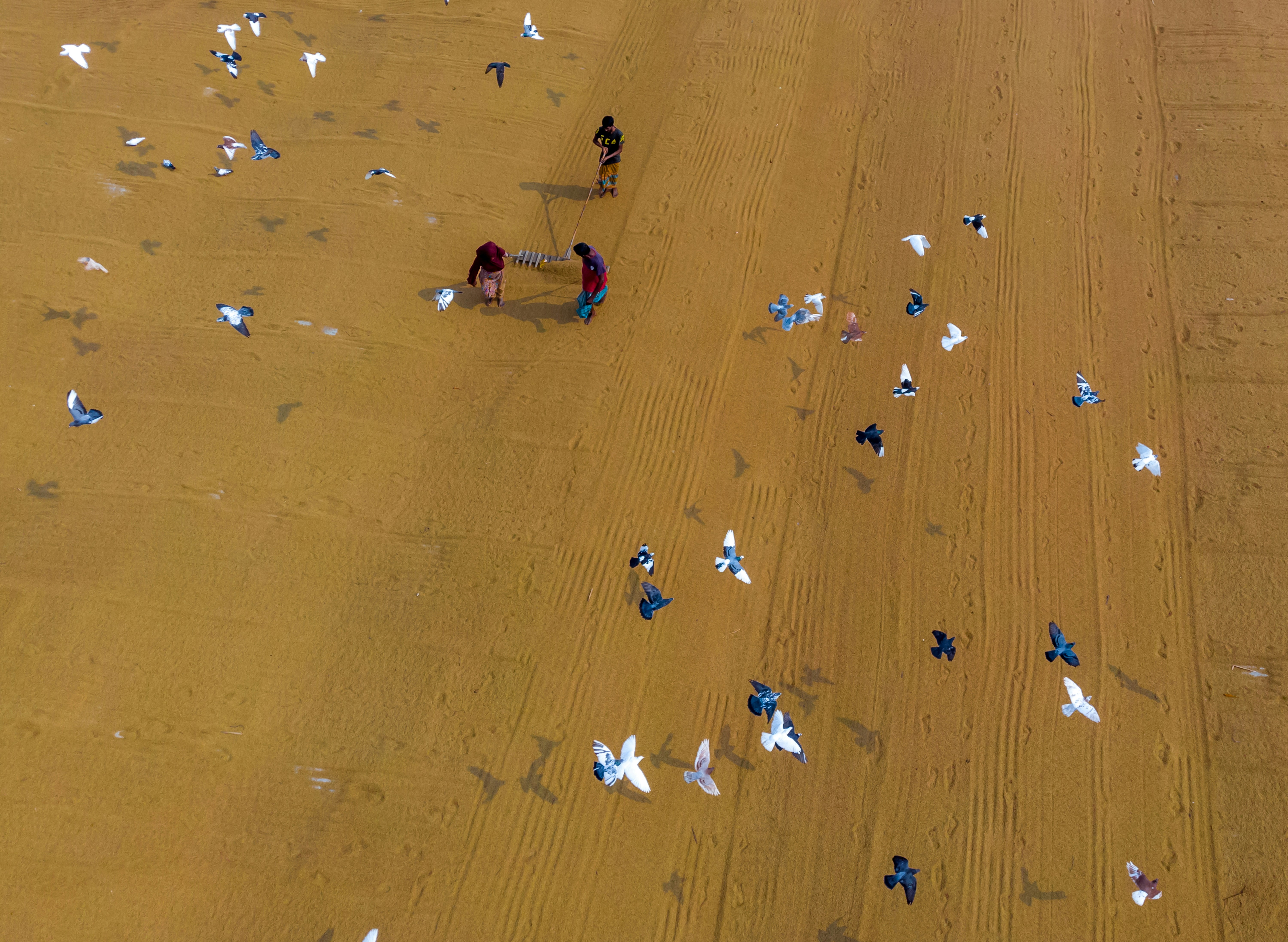 a group of people standing on top of a sandy beach
