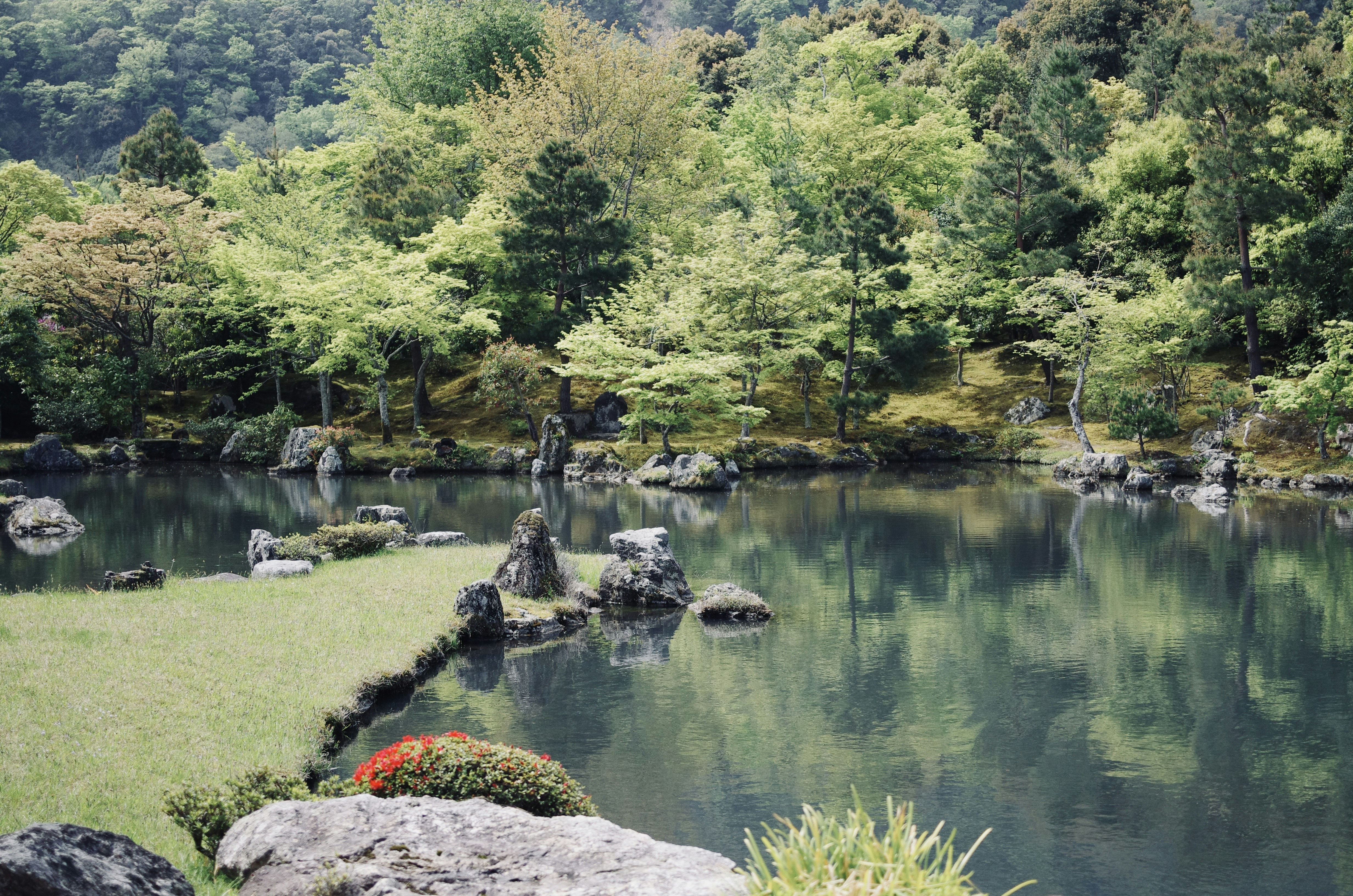 Photo by hiromasa_koga