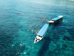 Two boats are floating on clear, turquoise waters. Several people in snorkel gear are swimming around the boats, enjoying the aquatic environment.