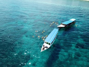 Two boats are floating on clear, turquoise waters. Several people in snorkel gear are swimming around the boats, enjoying the aquatic environment.
