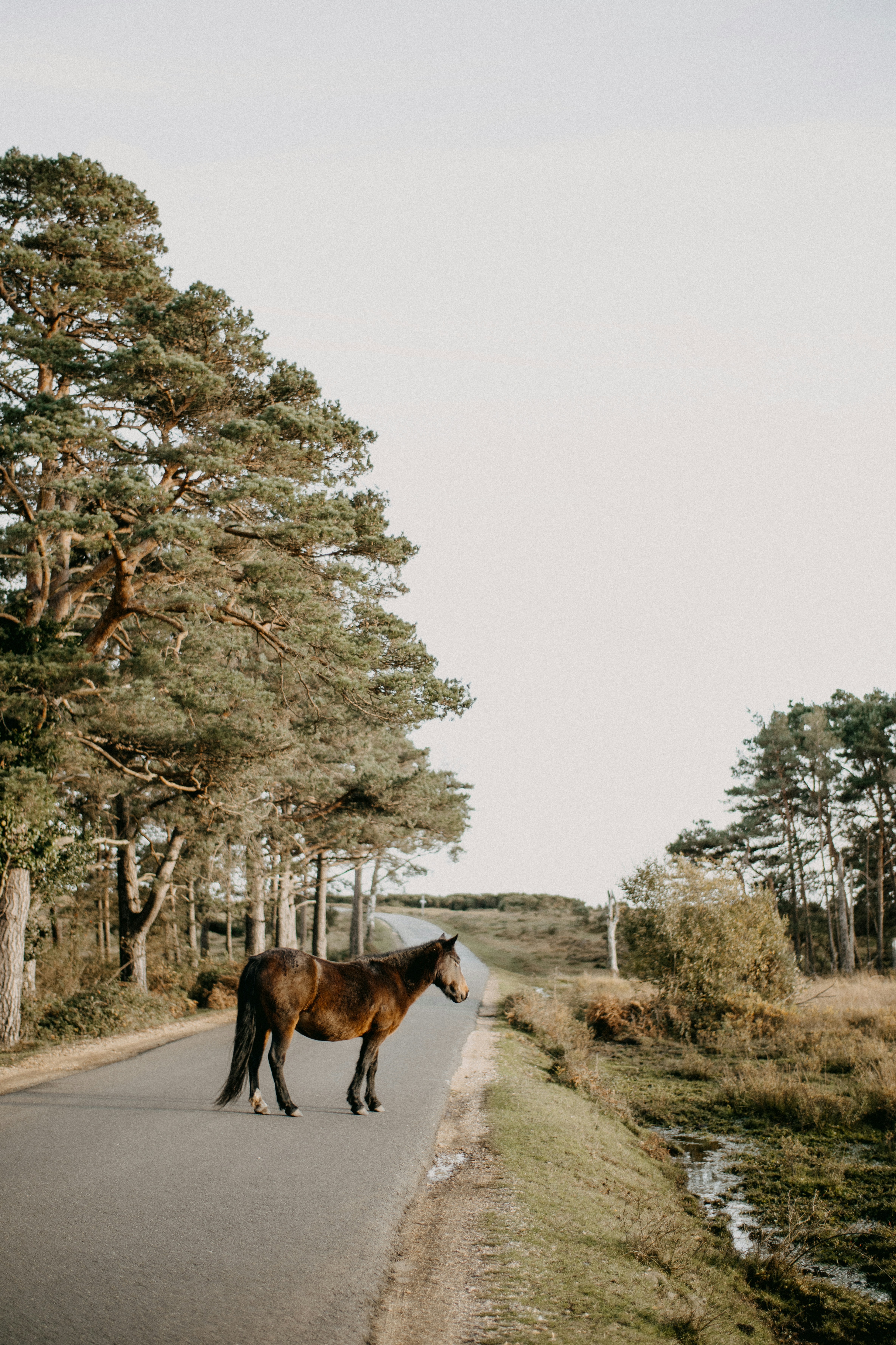Photo by anniespratt