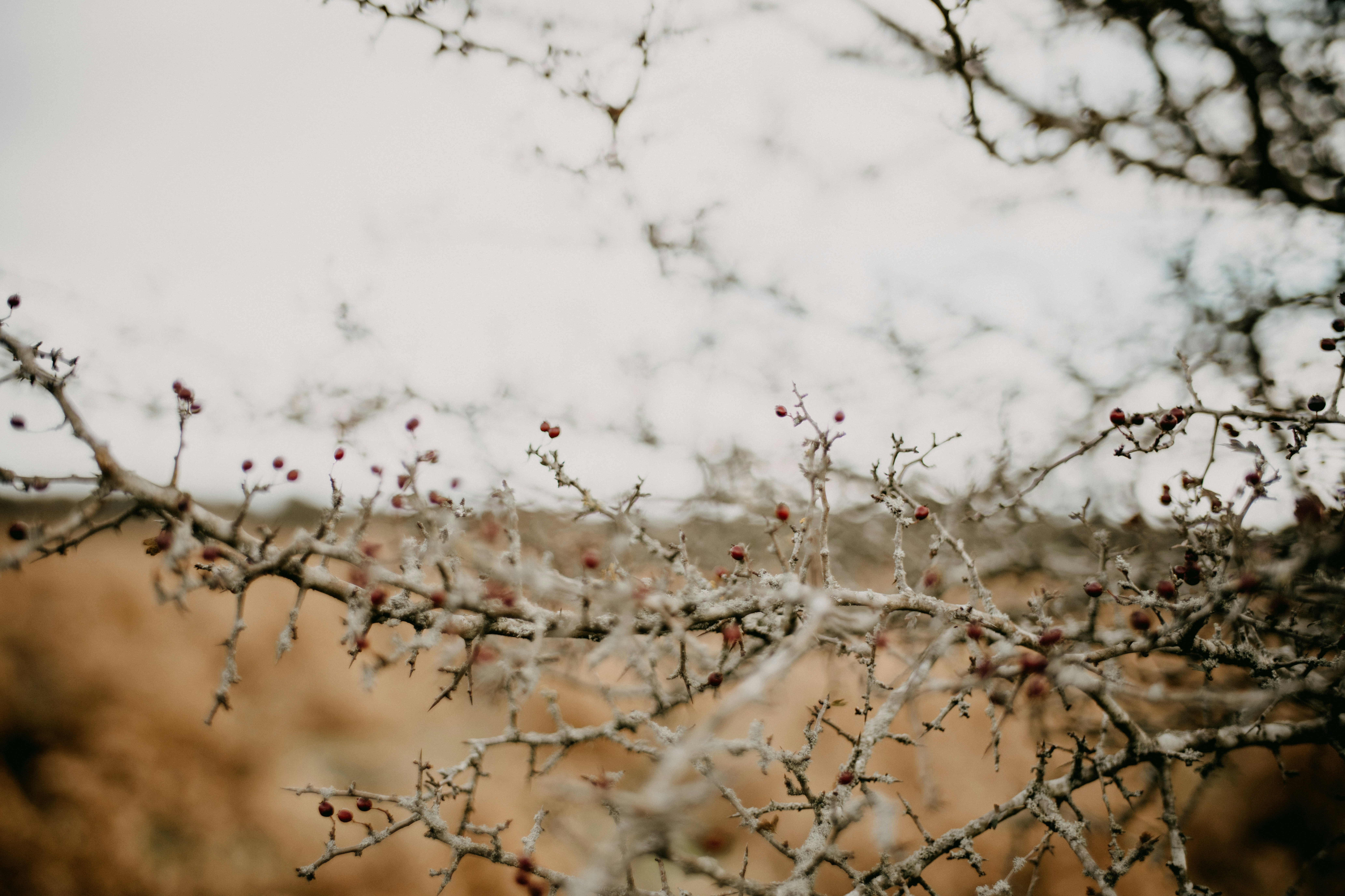 Photo by anniespratt