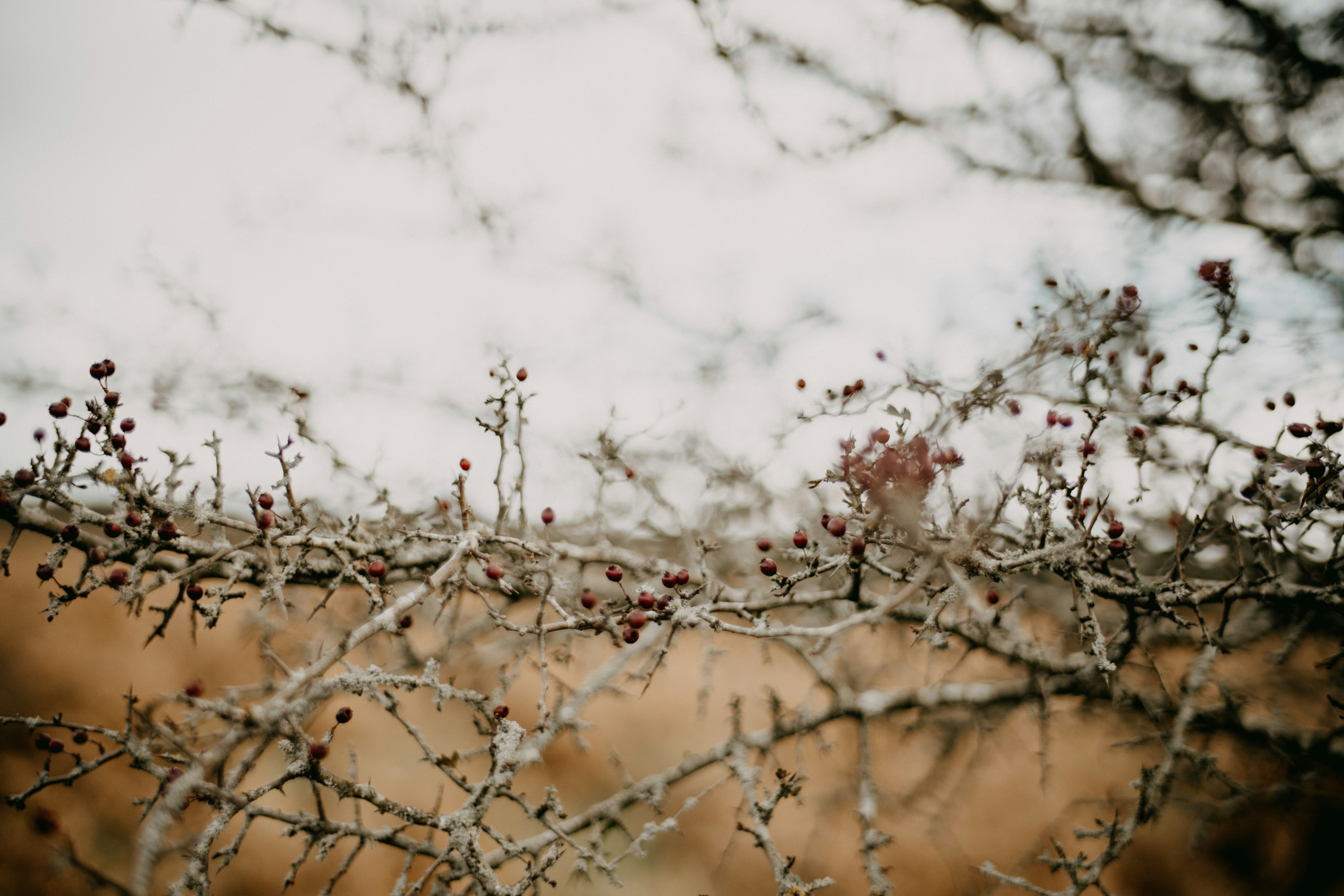 Photo by anniespratt