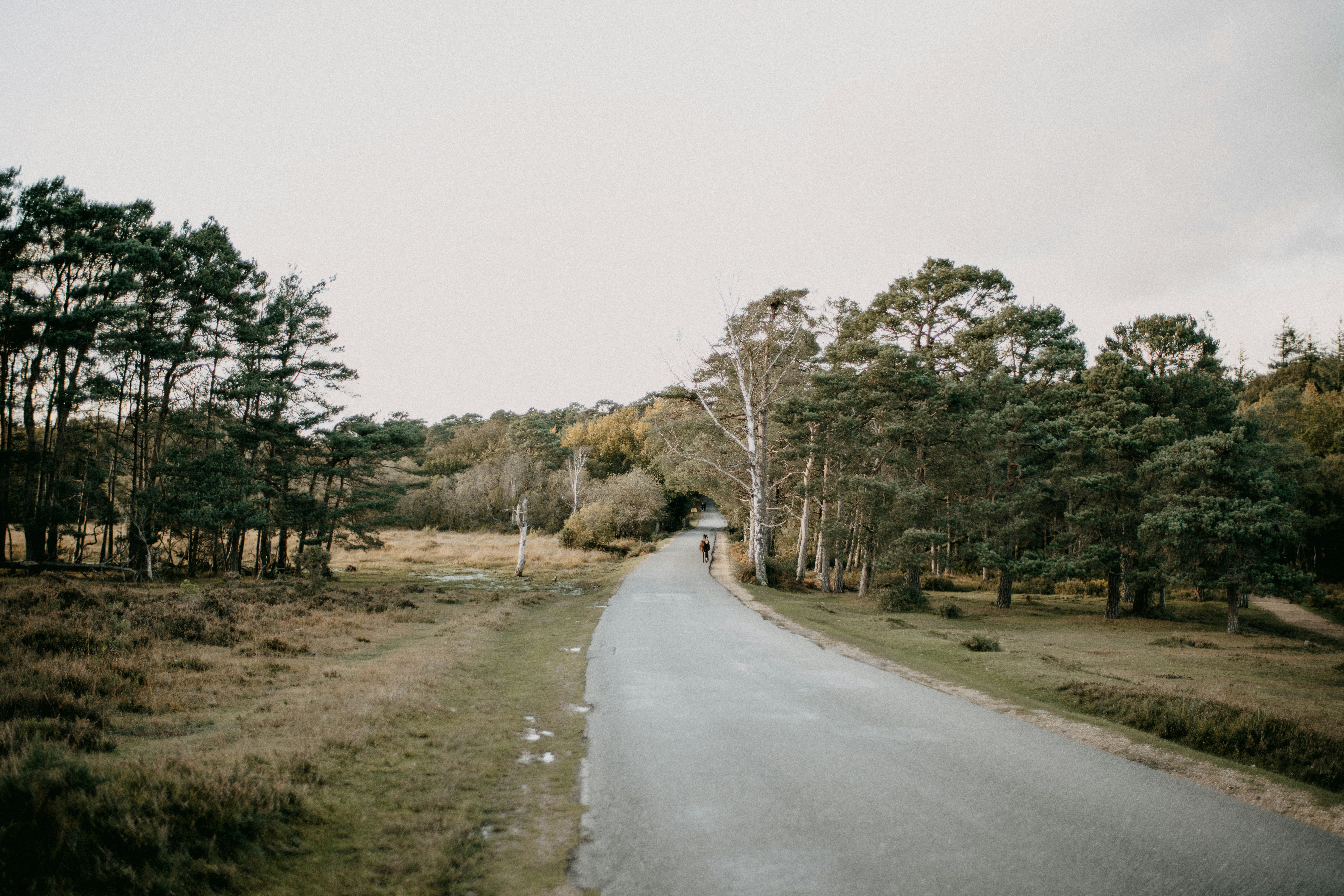 Photo by anniespratt