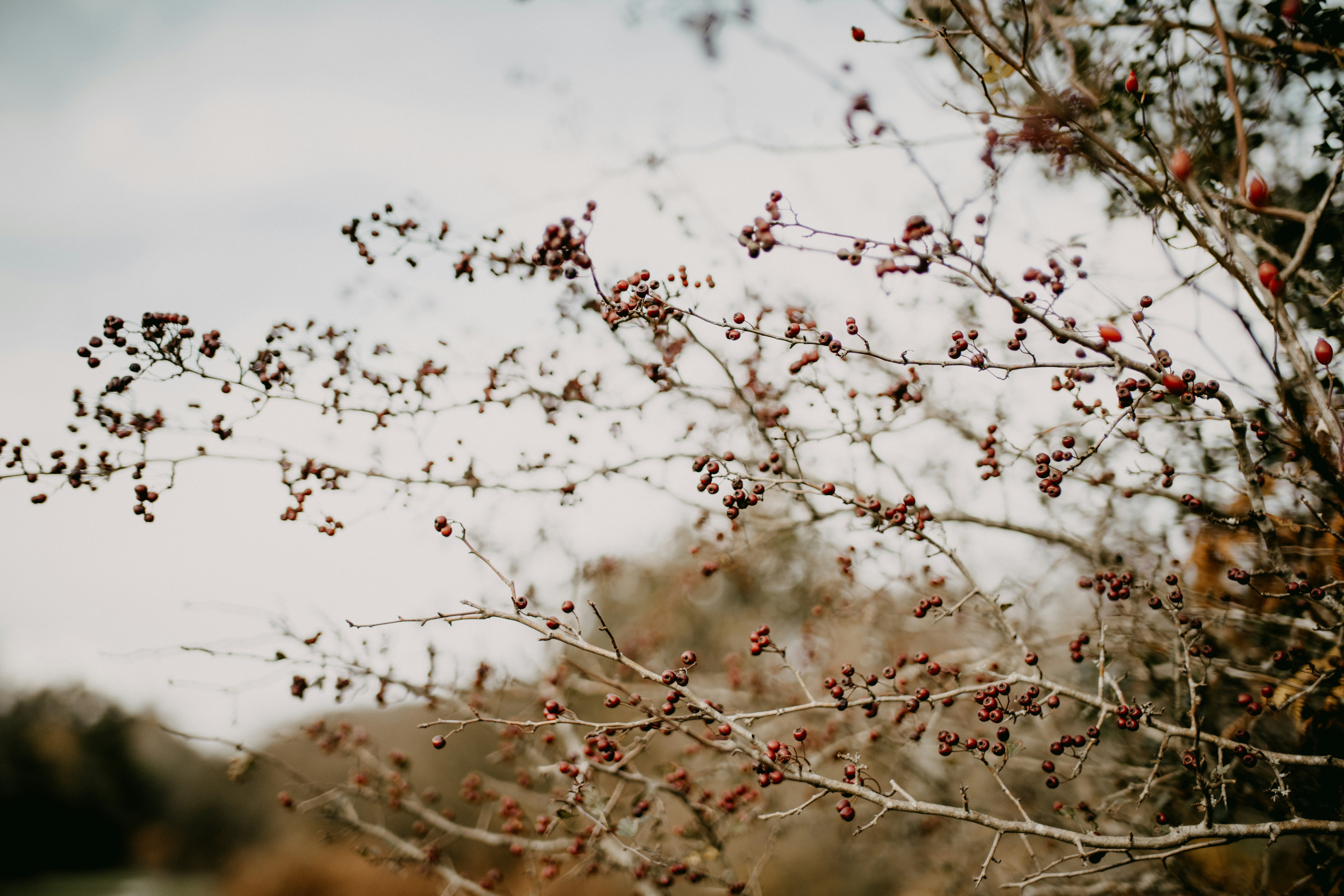 Photo by anniespratt