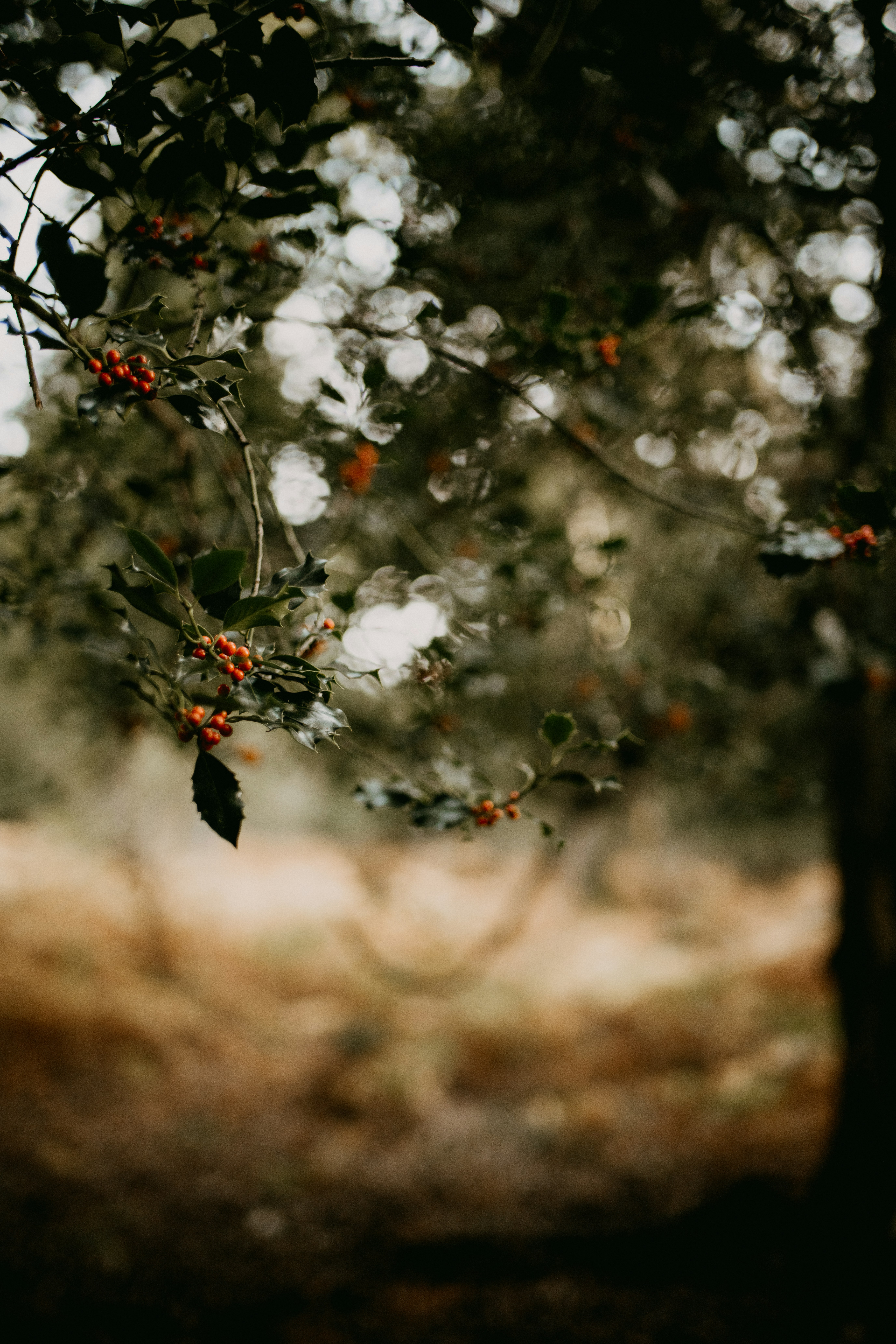 Photo by anniespratt