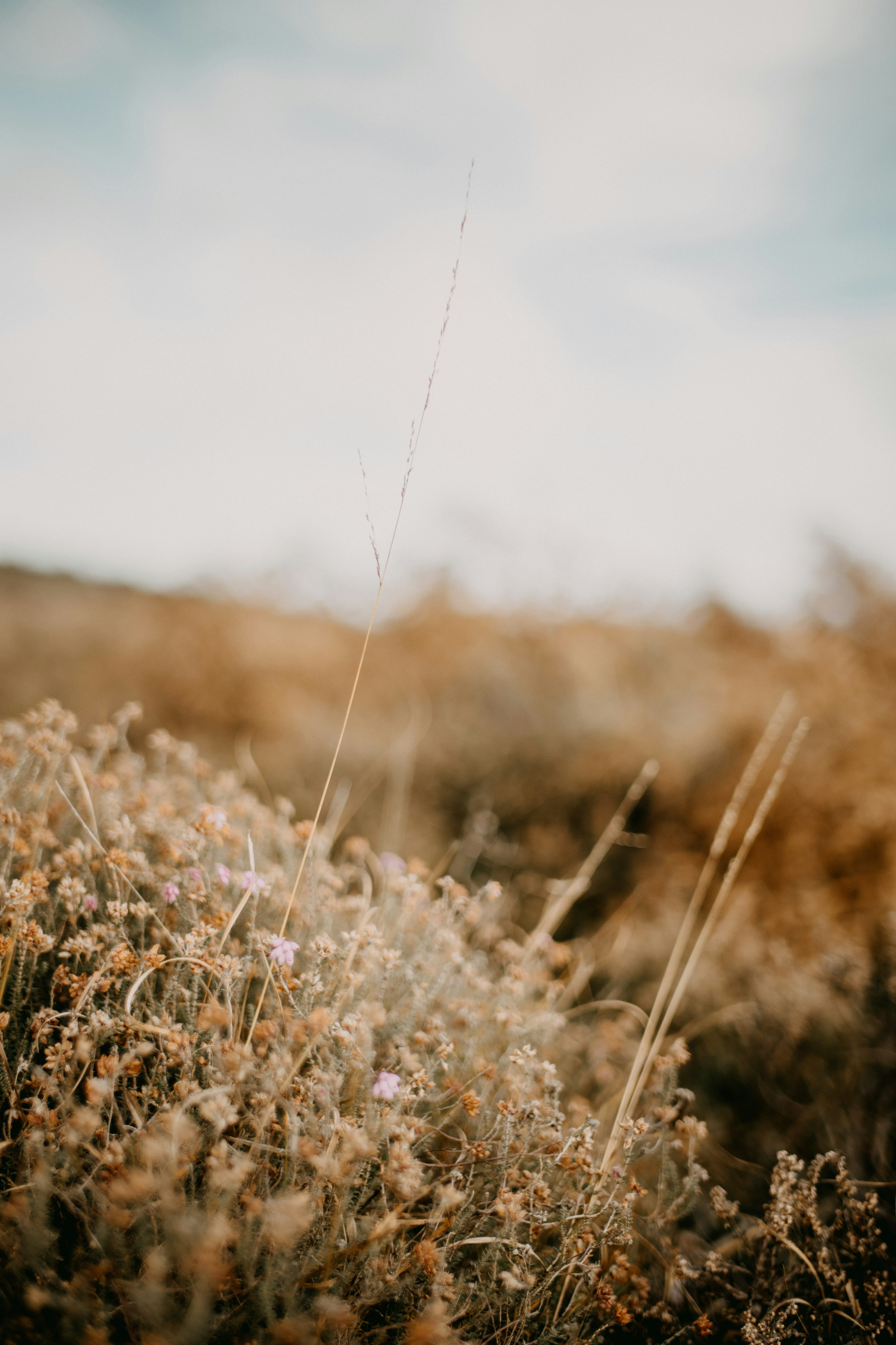 Photo by anniespratt