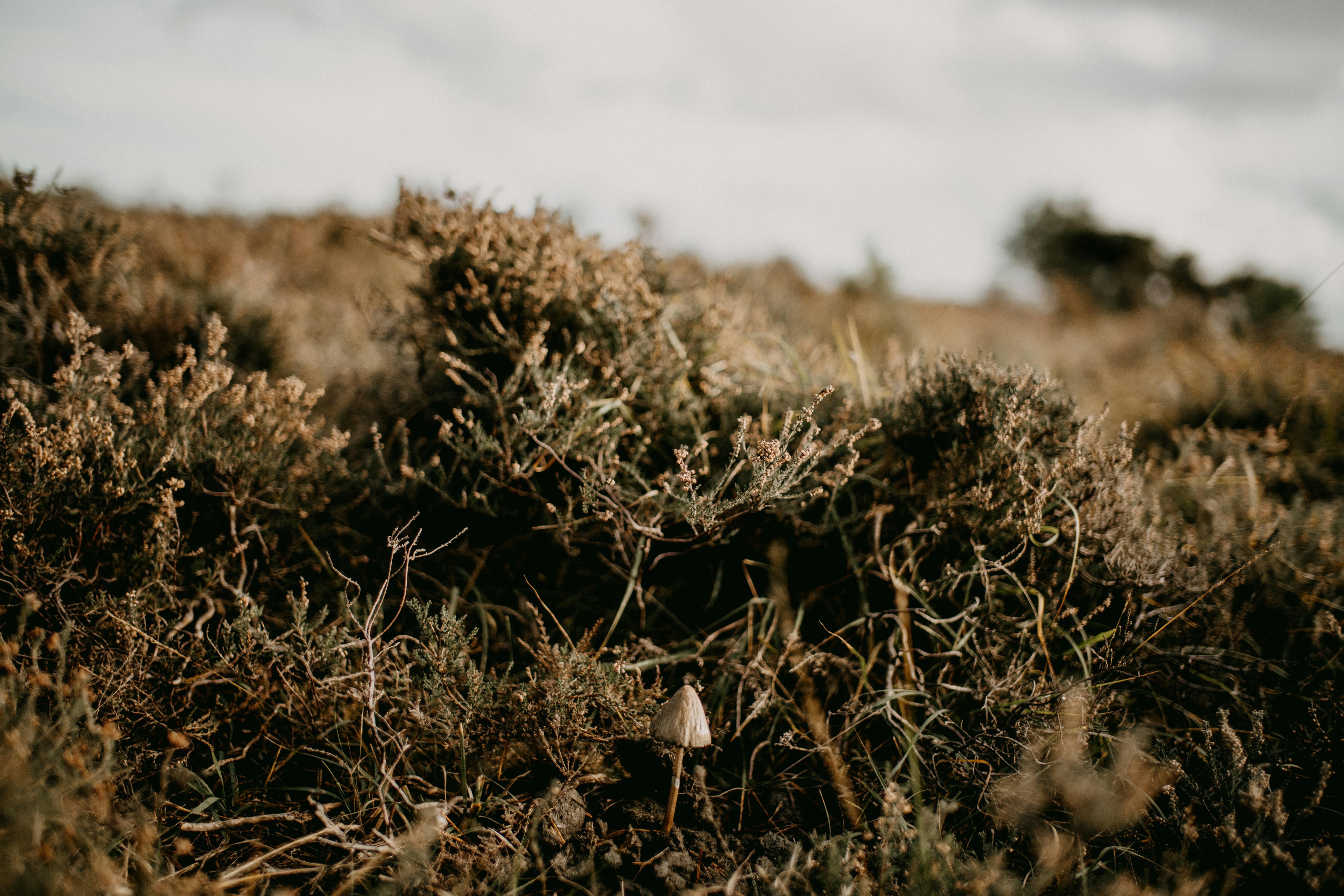 Photo by anniespratt